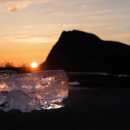 Lofoten Midnightsun Northern Lights Golf Horses *