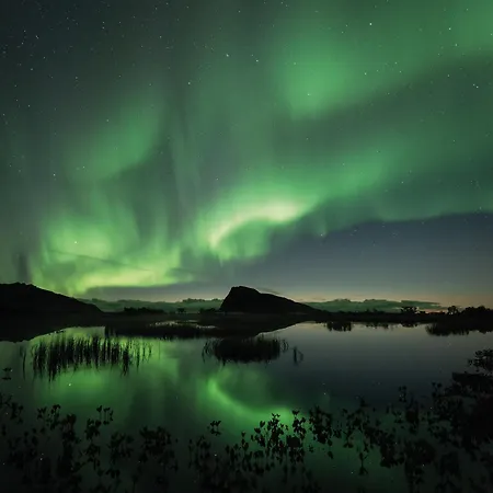 Nyaraló Lofoten Midnightsun Northern Lights Golf Horses *