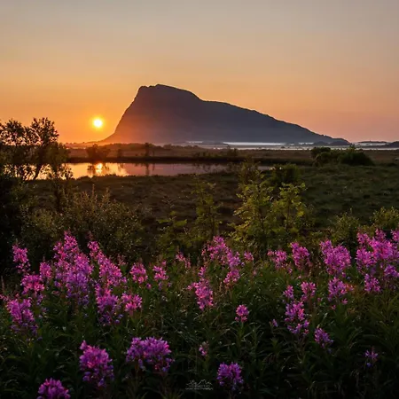 Lofoten Midnightsun Northern Lights Golf Horses Casa de Férias Gimsoy