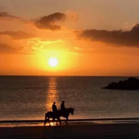 Lofoten Midnightsun Northern Lights Golf Horses Vakantiehuis *