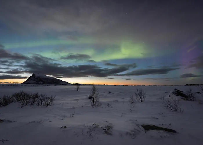 Lofoten Midnightsun Northern Lights Golf Horses