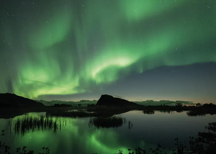 Feriehus Lofoten Midnightsun Northern Lights Golf Horses *