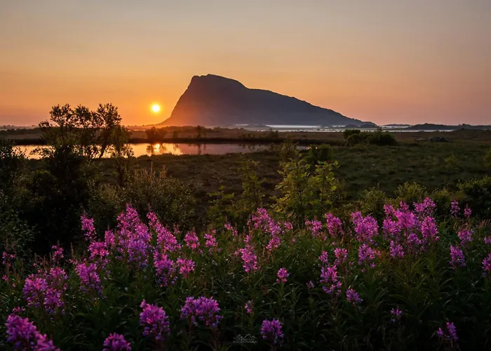 Lofoten Midnightsun Northern Lights Golf Horses Feriehus Gimsoy