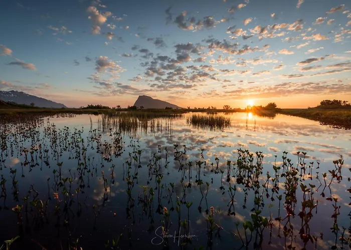 Feriehus Lofoten Midnightsun Northern Lights Golf Horses