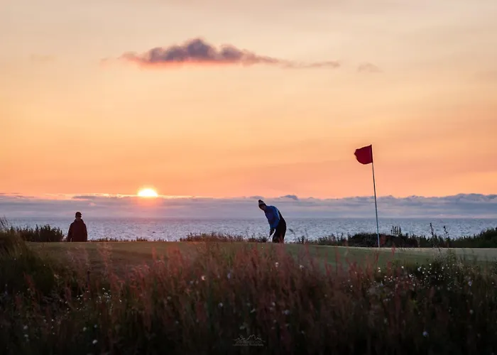 Lofoten Midnightsun Northern Lights Golf Horses