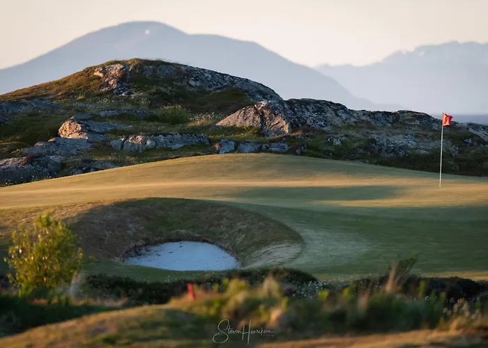 Feriehus Lofoten Midnightsun Northern Lights Golf Horses *