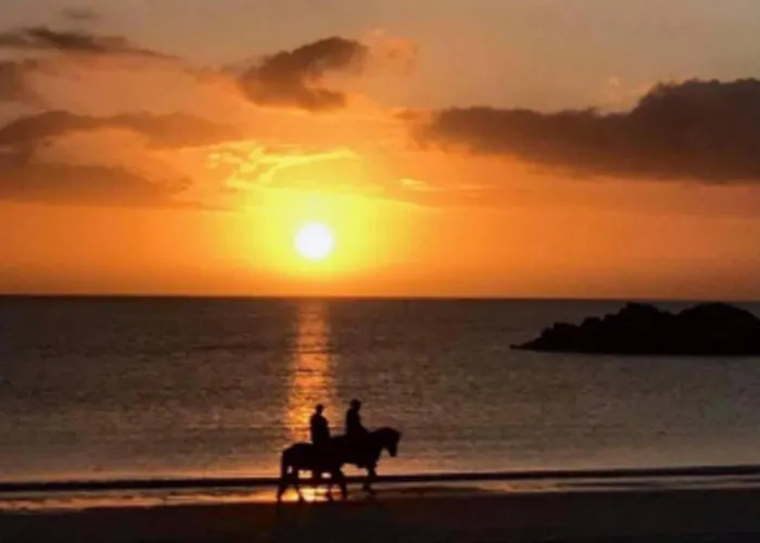 Lofoten Midnightsun Northern Lights Golf Horses Feriehus *