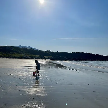 Lofoten Midnightsun Northern Lights Golf Horses Gimsoy