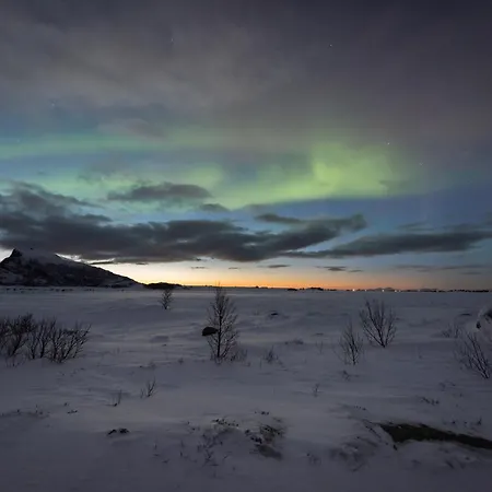 Lofoten Midnightsun Northern Lights Golf Horses