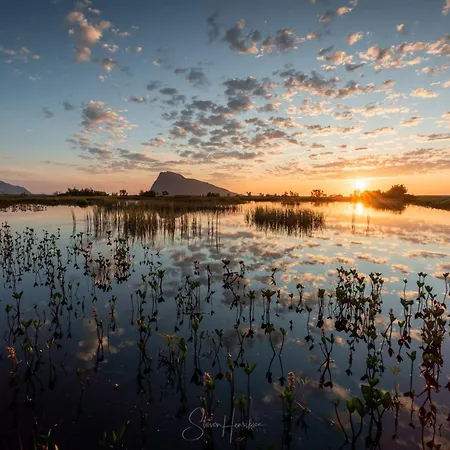Prázdninový dům Lofoten Midnightsun Northern Lights Golf Horses