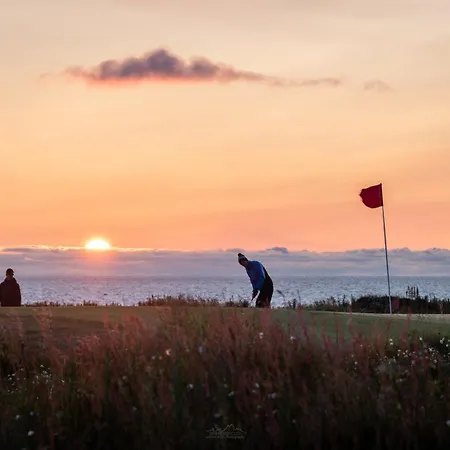 Lofoten Midnightsun Northern Lights Golf Horses